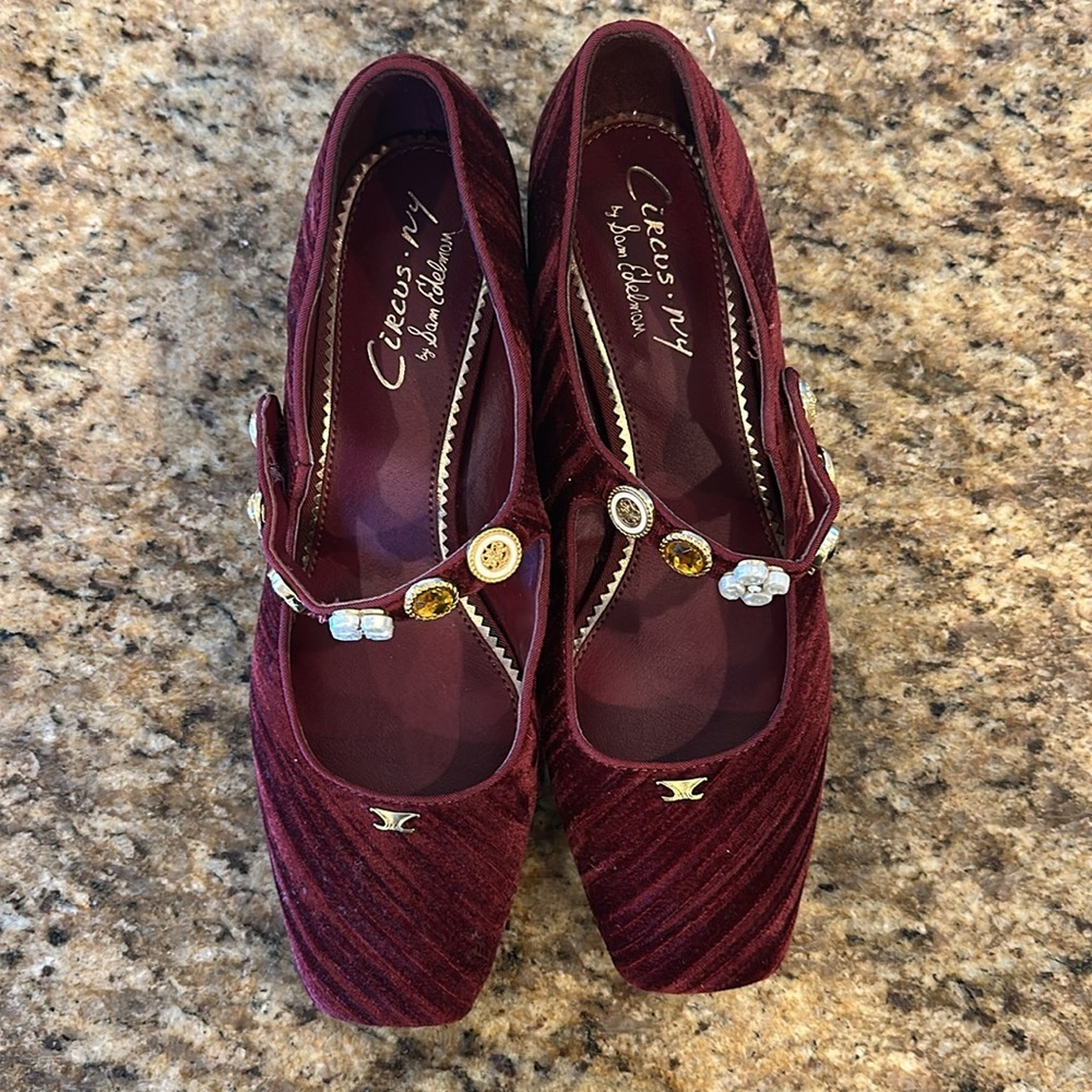 Women’s Burgundy Velvet Mary Jane Block Heel Pump - Picture 2 of 5